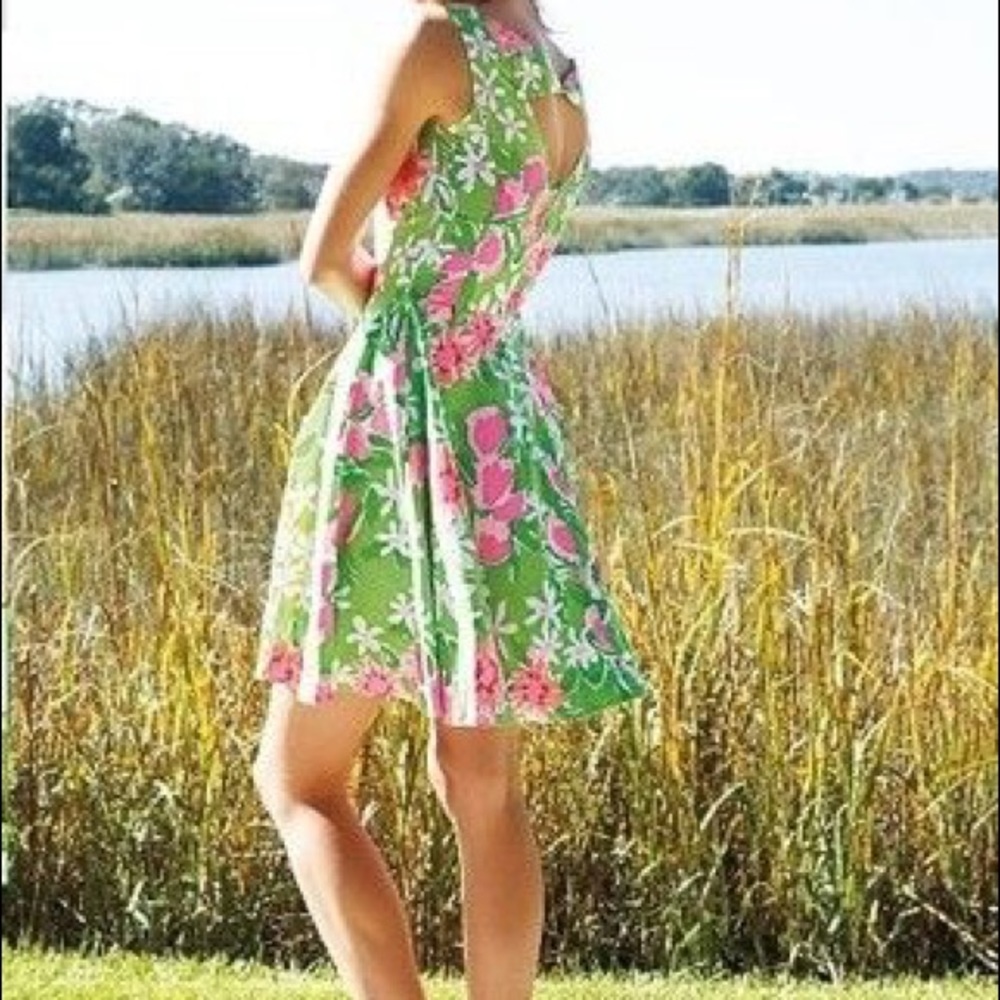 Lily Pulitzer🌷 “Freja” Dress Green and Pink - Picture 8 of 8